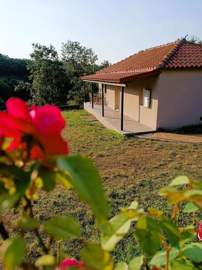 Billy'S House Kalambaka Exterior foto